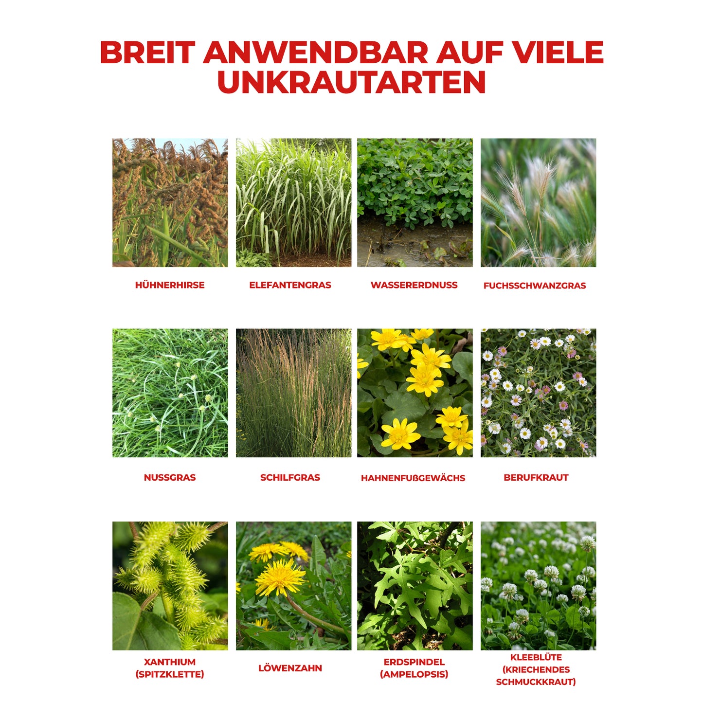 Glyphosatbasiertes Herbizid (41 % Konzentrat) – Für professionelle Vegetationskontrolle