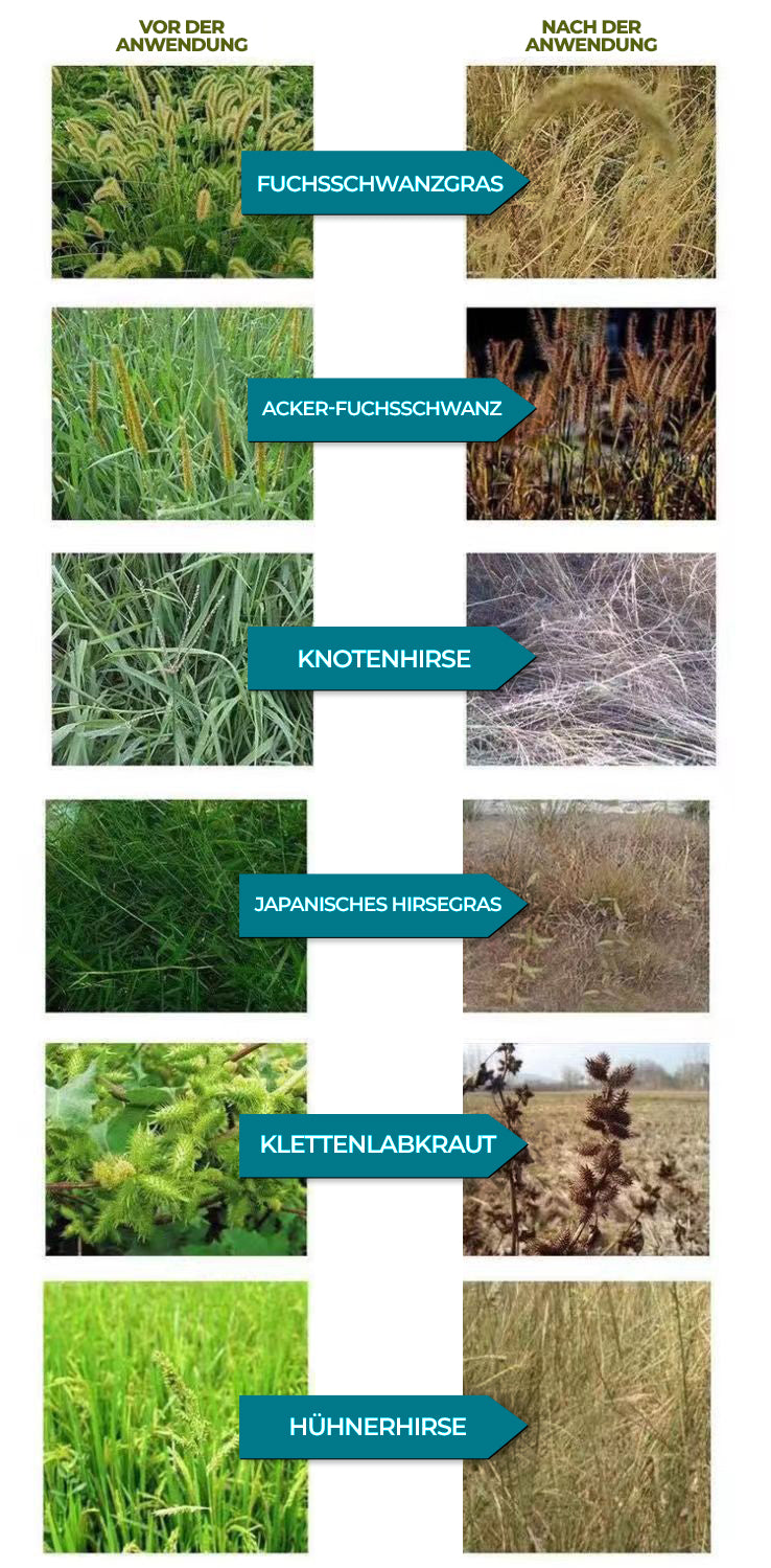 41 % Glyphosat Flüssigkonzentrat | Lösung zur Pflanzenkontrolle & Landräumung