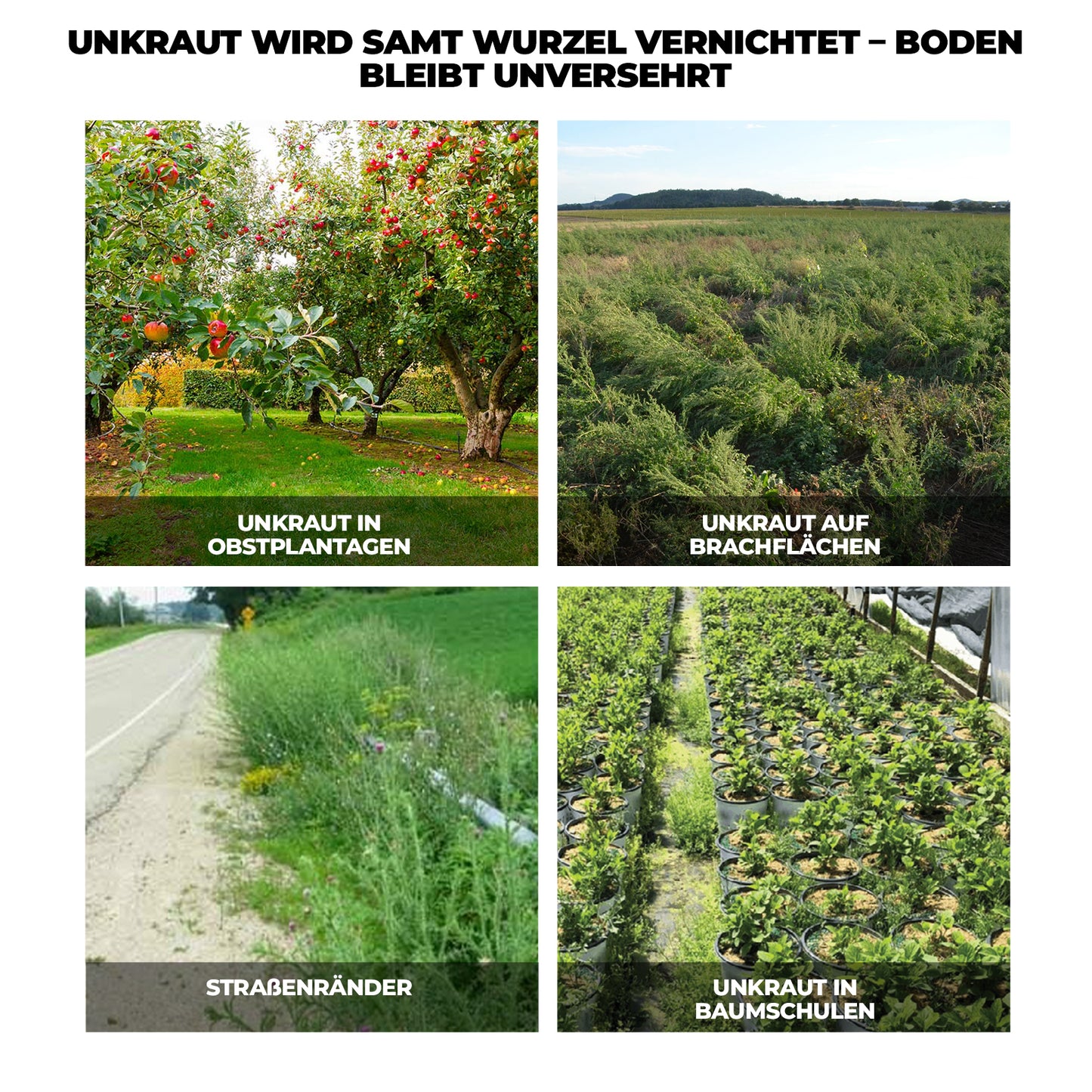 Glyphosatbasiertes Herbizid (41 % Konzentrat) – Für professionelle Vegetationskontrolle