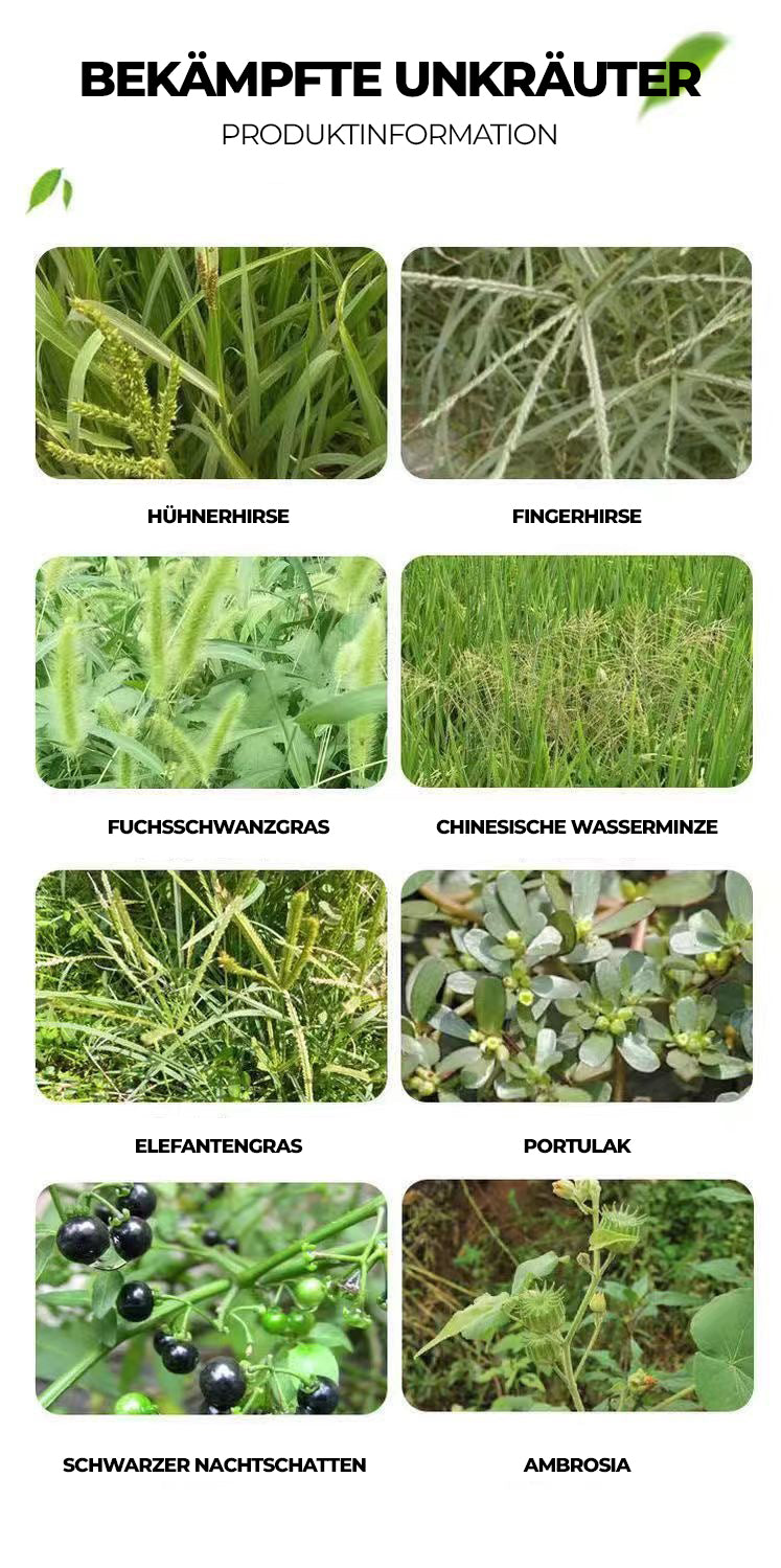 33 % Pendimethalin Herbizid – Vorauflauf-Unkrautvernichter gegen einjährige Gräser, 200 ml