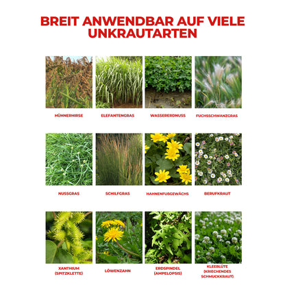 Glyphosatbasiertes Herbizid (41 % Konzentrat) – Für professionelle Vegetationskontrolle