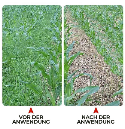 36 % Flüssiges Unkrautbekämpfungsmittel für Maisfelder | Nachauflauf-Formel zur Pflanzenkontrolle