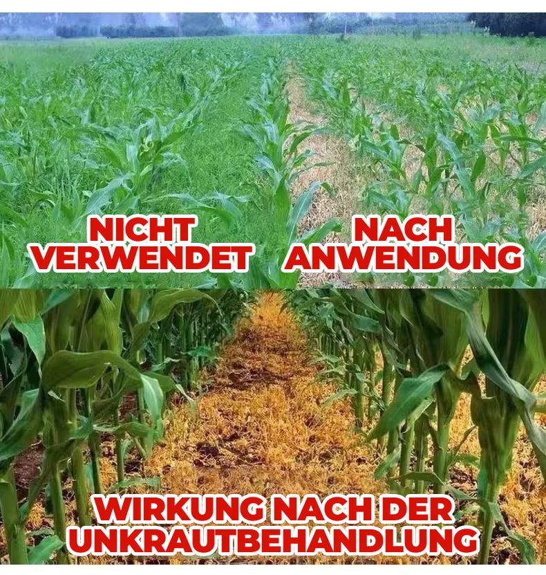 36 % Flüssiges Unkrautbekämpfungsmittel für Maisfelder | Nachauflauf-Formel zur Pflanzenkontrolle