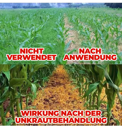 36 % Flüssiges Unkrautbekämpfungsmittel für Maisfelder | Nachauflauf-Formel zur Pflanzenkontrolle