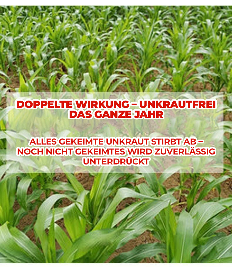 36 % Flüssiges Unkrautbekämpfungsmittel für Maisfelder | Nachauflauf-Formel zur Pflanzenkontrolle