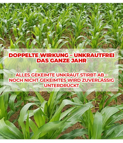 36 % Flüssiges Unkrautbekämpfungsmittel für Maisfelder | Nachauflauf-Formel zur Pflanzenkontrolle