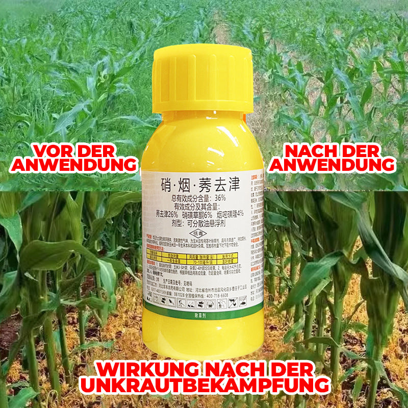 36 % Flüssiges Unkrautbekämpfungsmittel für Maisfelder | Nachauflauf-Formel zur Pflanzenkontrolle