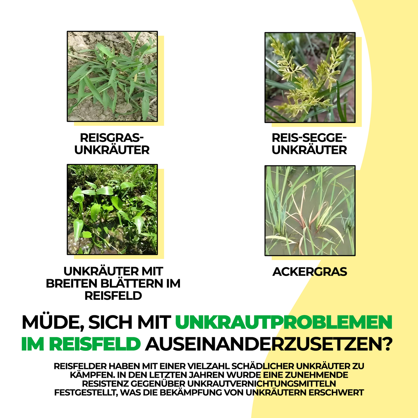 Glyphosate Herbicide Haute Concentration – Désherbant pour l'entretien des terres et des surfaces