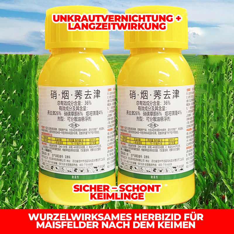 36 % Flüssiges Unkrautbekämpfungsmittel für Maisfelder | Nachauflauf-Formel zur Pflanzenkontrolle