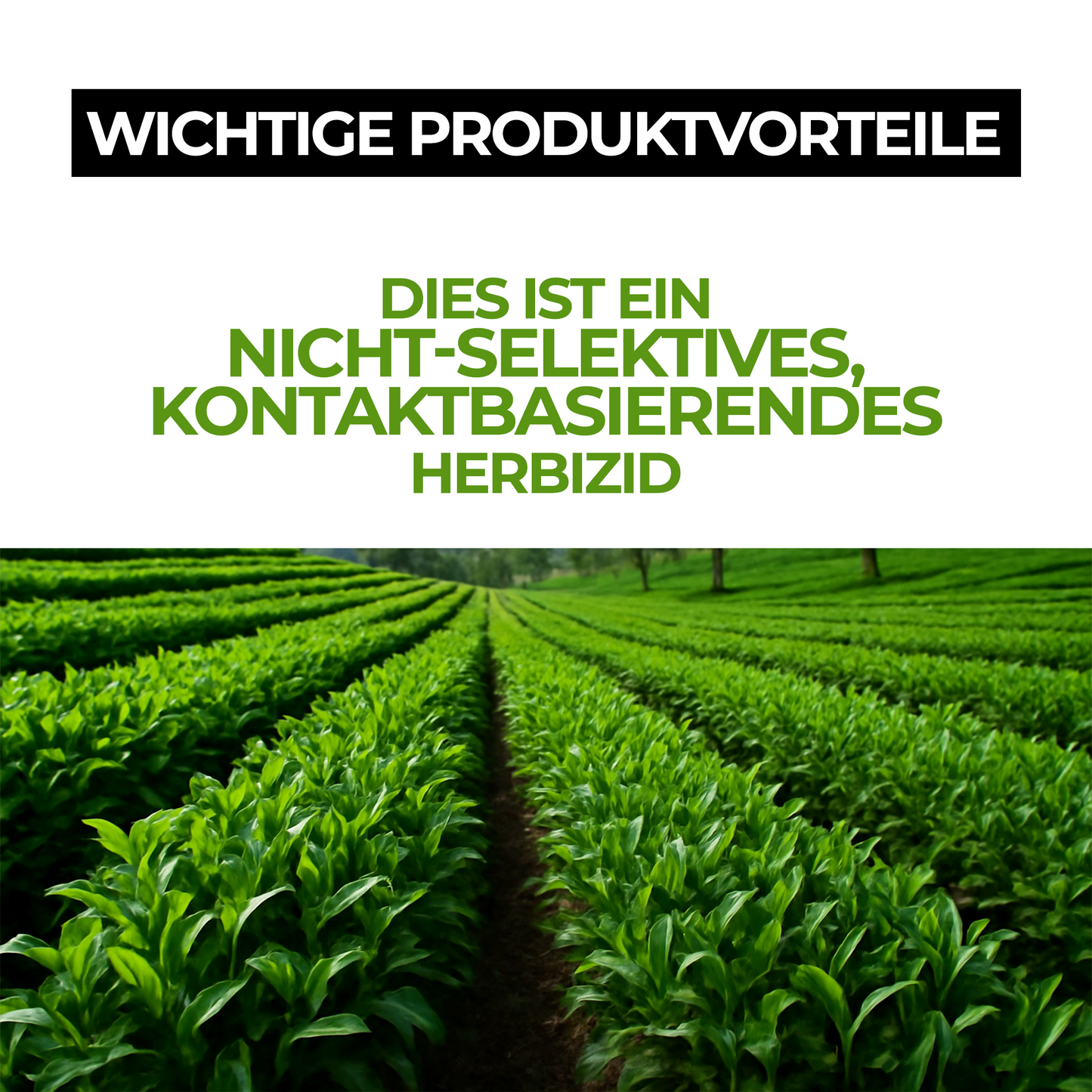 Glyphosat Herbizid Hochkonzentrat – Unkrautvernichter für Land- & Flächenpflege (Gelb)