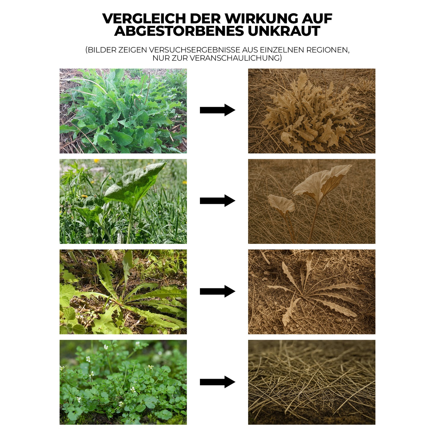 Glufosinat – Breitspektrum-Vegetationskontrolle für Ackerland & Obstplantagen