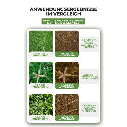 Glufosinat – Breitspektrum-Vegetationskontrolle für Ackerland & Obstplantagen