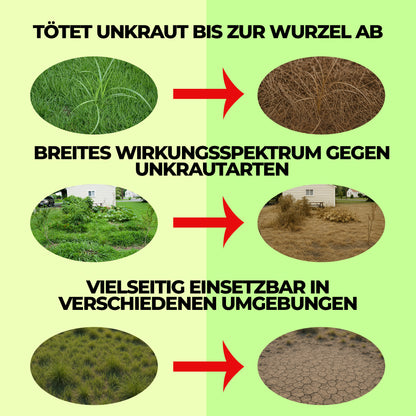 Glyphosate 41 % concentré – Herbicide pour le contrôle de la végétation et l'entretien des terres