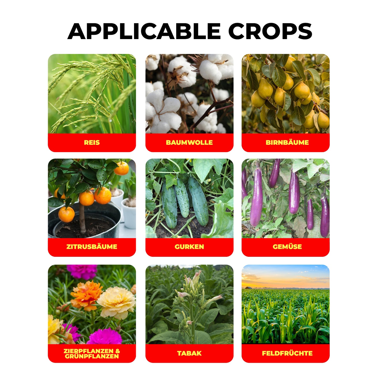 Abamectin 1,8 % EC – Insektizid & Akarizid für Gemüse, Obst und Zierpflanzen